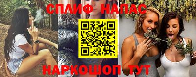 стаф Кингисепп