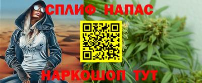 стаф Кингисепп
