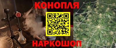 стаф Кингисепп