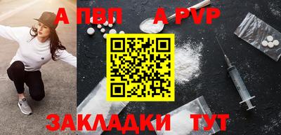 стаф Кингисепп