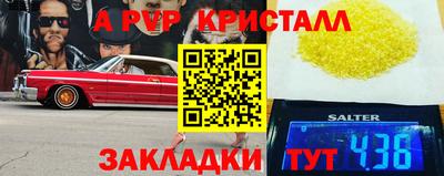 стаф Кингисепп