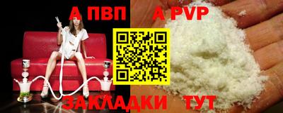 индика Майкоп