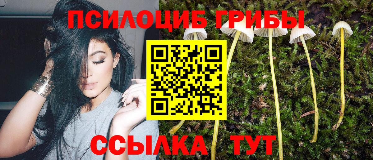 Ковров  Галлюциногенные грибы MAGIC MUSHROOMS  Вход с VPN  Псилоцибиновые грибы Psilocybine cubensis 